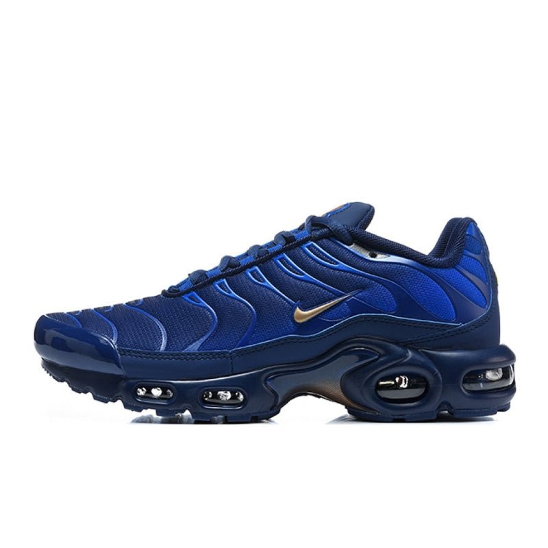 Air Max TN Plus French Football Federation