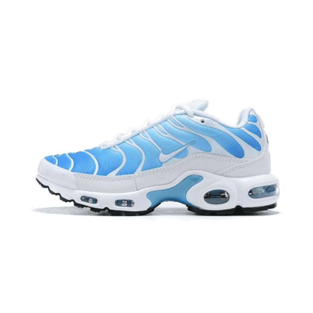 Air Max TN Plus Battle Blue