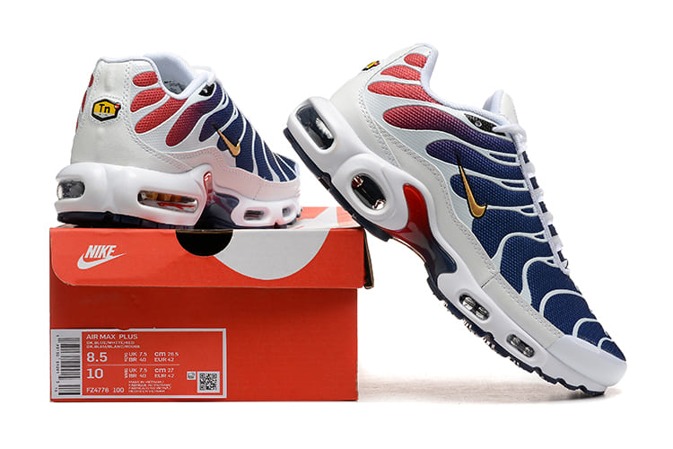 Air Max TN Plus PSG